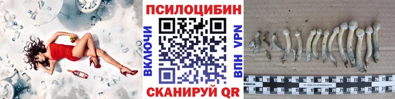 Галлюциногенные грибы Magic Shrooms  hydra как зайти  Нестеров  закладка 