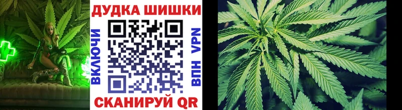 закладки  Нестеров  Канабис семена 